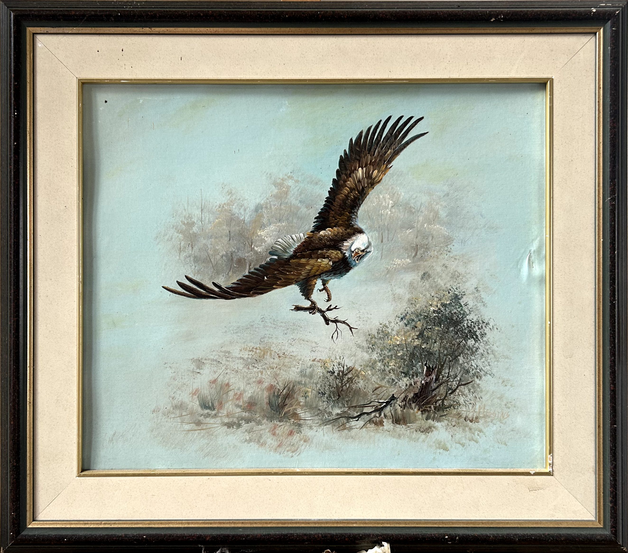 Bird of Prey in Flight