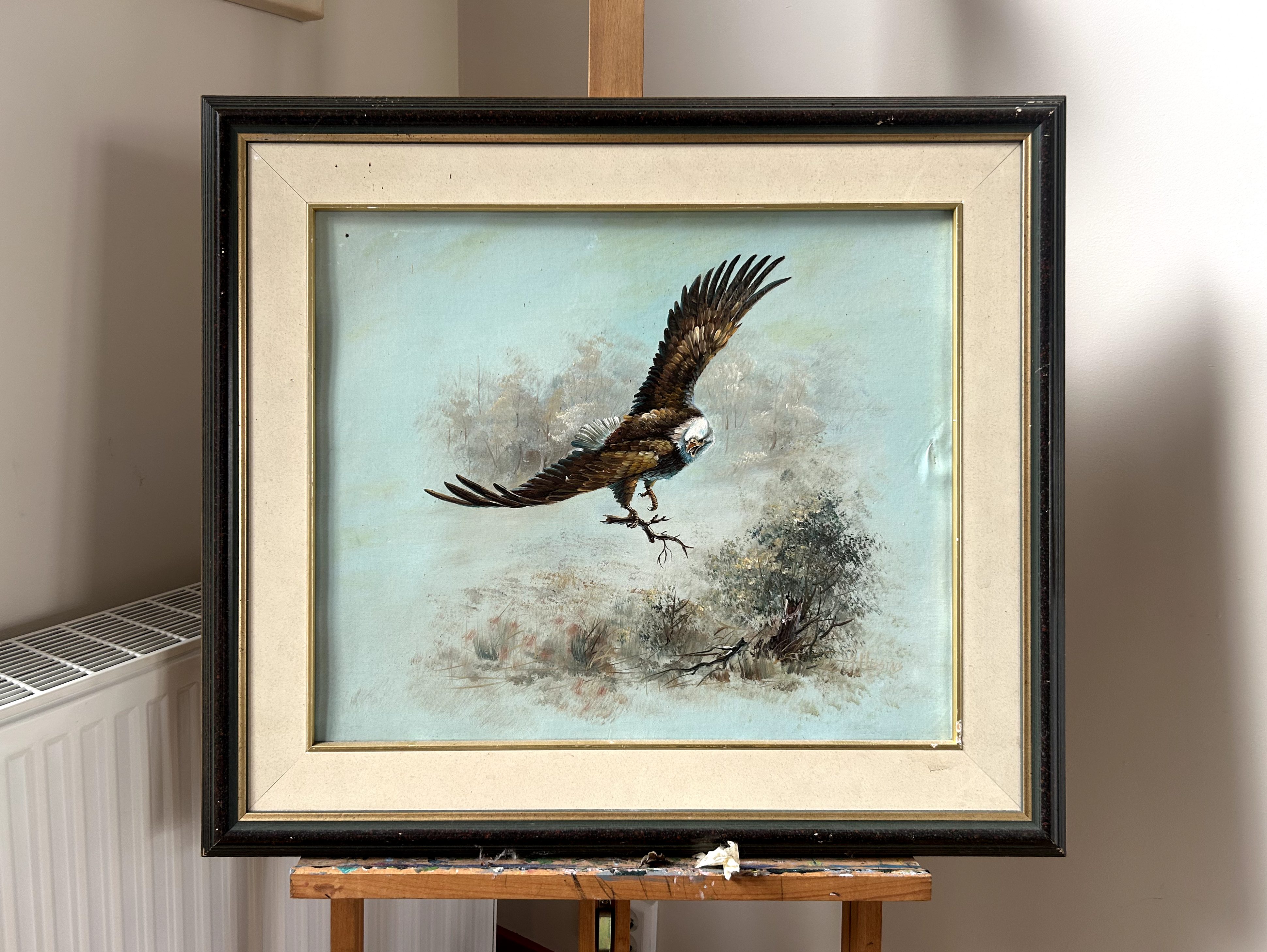 Bird of Prey in Flight